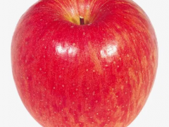 什么时候吃苹果减肥效果最好