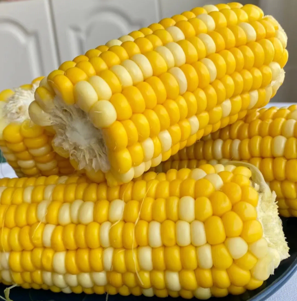 玉米减肥